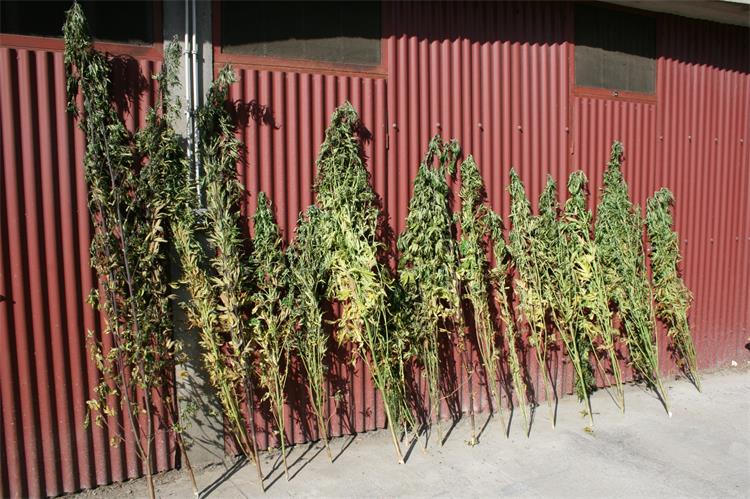 Slika /2014/Dan kapelanije/IMG_5839.JPG